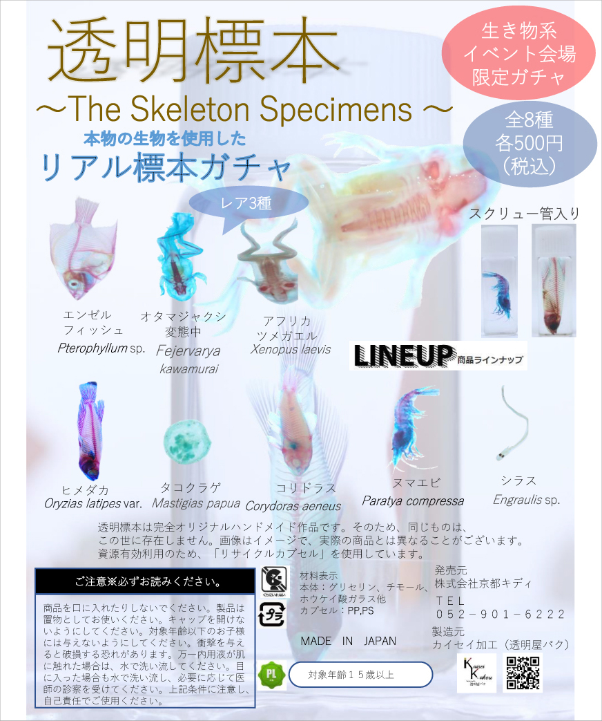 透明標本～The Skeleton Specimens～
