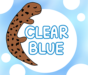 CLEAR BLUE