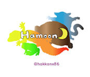 Hamoon