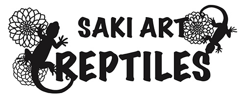 SAKI ART REPTILES