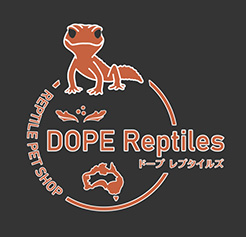 DOPE Reptiles