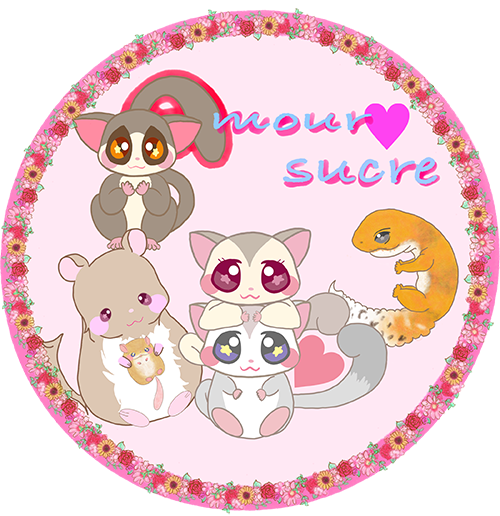 Amour sucre