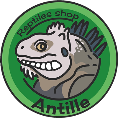 Reptiles shop Antille