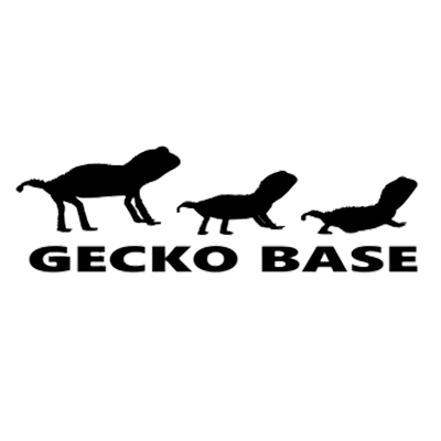 GECKO BASE