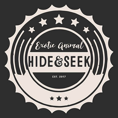 Hide&Seek