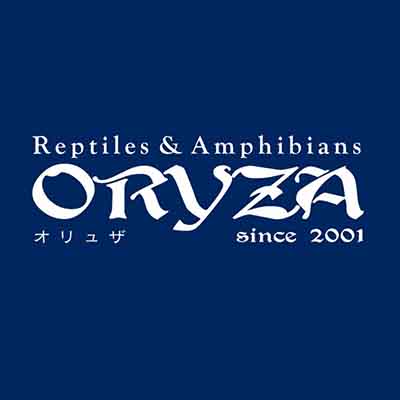 ORYZA