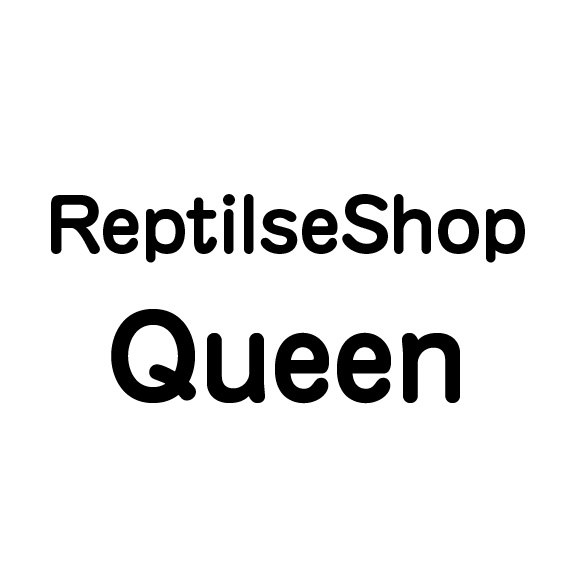 ReptilseShopQueen