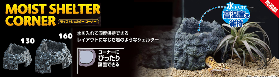 モイストシェルターコーナー
